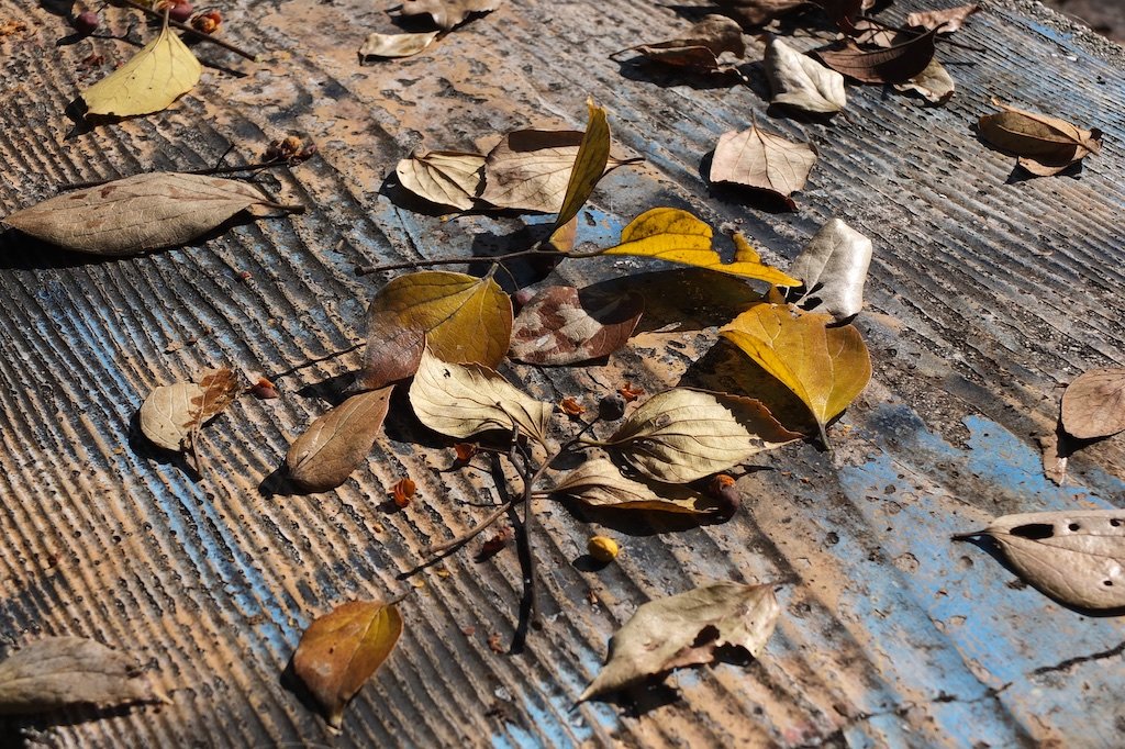 ujiFilm X10 Digitalcamera camera X10-02