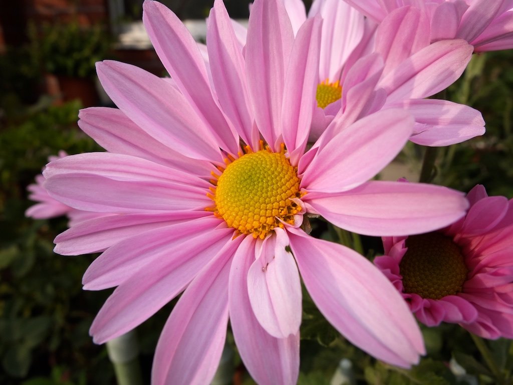 ujiFilm X10 Digitalcamera camera X10-02