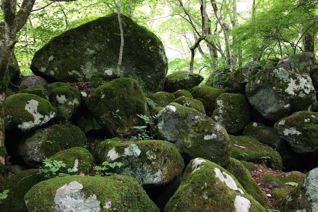 シグマ デジカメ コンデジ sigma merrill dp1m dp1merrill