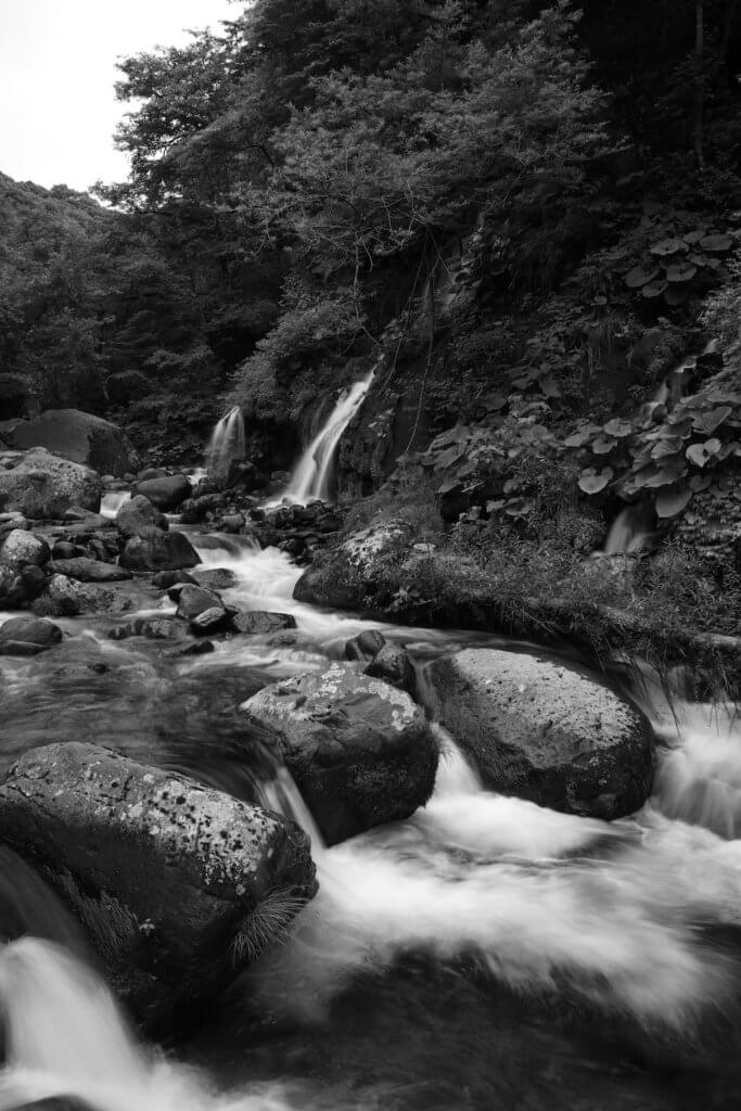 シグマ デジカメ コンデジ sigma merrill dp1m dp1merrill