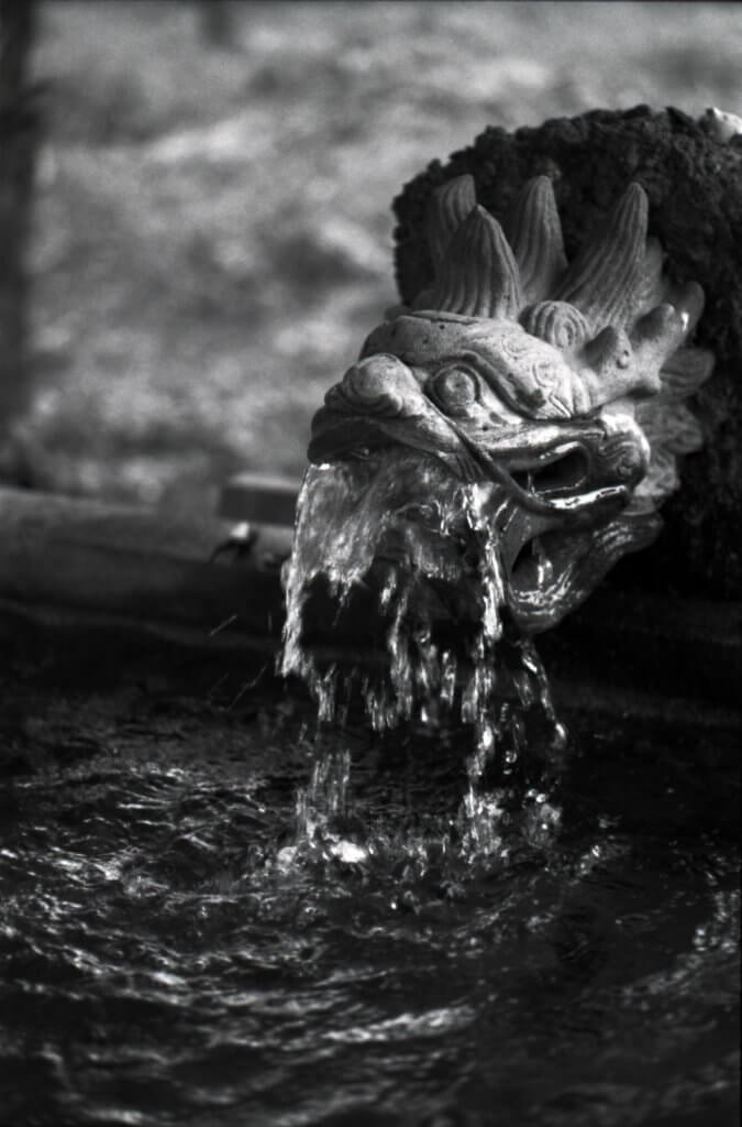 neopan monochrome B&W film nega shrine shimizu water