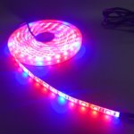 多肉植物の室内管理に悩むあなたへ...手軽なテープ式LEDライトを活用しよう！