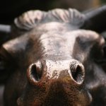 SIGMA DP Merrillと言うコンパクトカメラ達 ⑥ DP3 Merrillの作例 モノクロ etc...